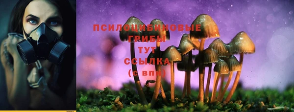 марки nbome Гусь-Хрустальный