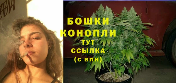 марки nbome Гусь-Хрустальный