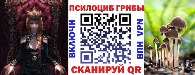 Купить закладки  Кондрово  Псилоцибиновые грибы Cubensis 